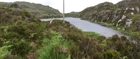 Austevoll and Hotvik 2017 Stock Footage 201534789