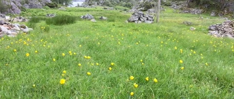 Austevoll and Hotvik 2017 Stock Footage 201534875