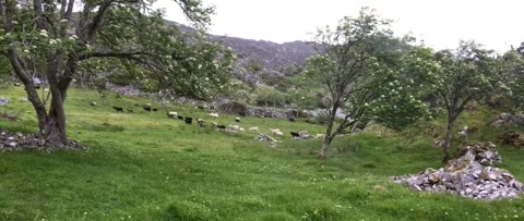 Austevoll and Hotvik 2017 Stock Footage 201535015