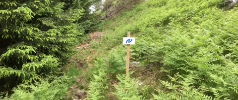 Austevoll and Hotvik 2017 Stock Footage 201535138