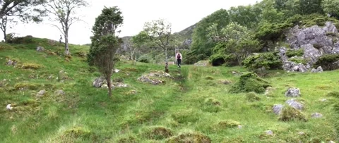 Austevoll and Hotvik 2017 Stock Footage 201535363