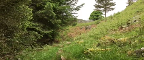 Austevoll and Hotvik 2017 Stock Footage 201535368