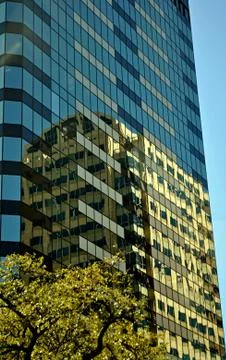 Austin building reflection-1 写真素材
