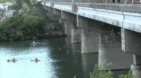 Austin Congress Bridge Bats Stock Footage 643147