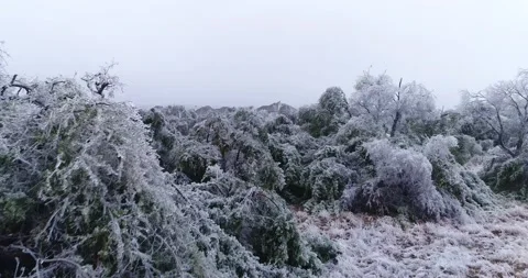 Austin Ice Storm 2023 Drone flies forward over icy subdvision and tree damage Stock Footage 232059577