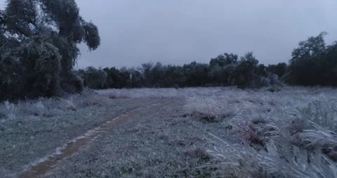Austin Ice Storm - drone flies over icy grasslands Stock Footage 232040202