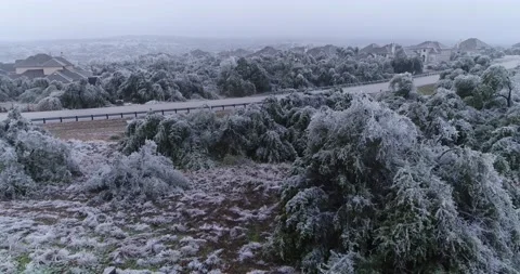 Austin Ice Storm Drone rises over tree damage in Rocky Creek Neighborhood Stock Footage 232043892
