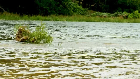 Austin Riverside 1 Stock Footage 89689226