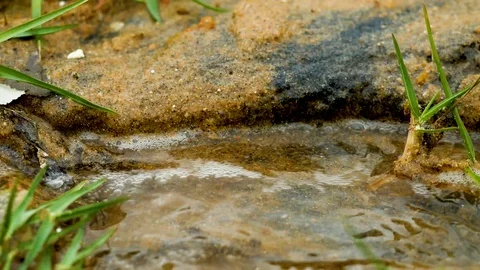 Austin Riverside 10 Stock Footage 89689099