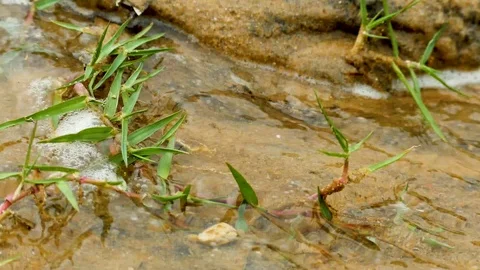 Austin Riverside 11 Stock Footage 89689094