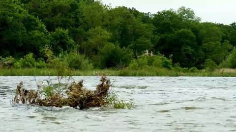 Austin Riverside 12 Stock Footage 89689082