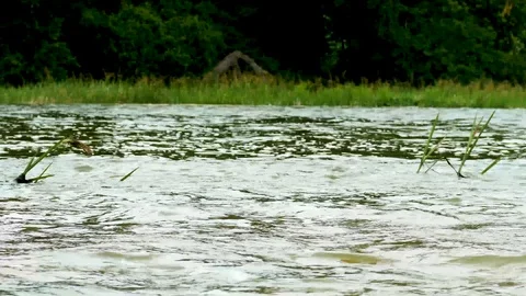 Austin Riverside 13 Stock Footage 89689071