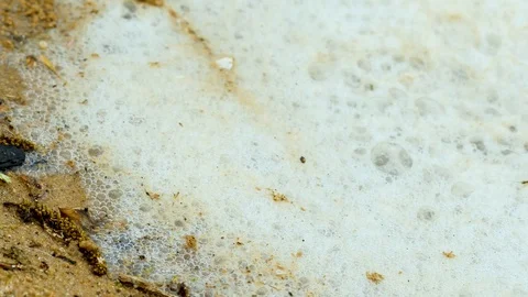 Austin Riverside 14 Stock Footage 89689045