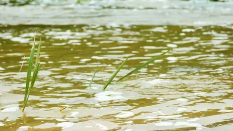 Austin Riverside 15 Stock Footage 89689044