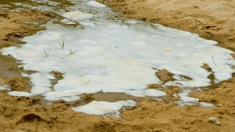 Austin Riverside 17 Stock Footage 89689221