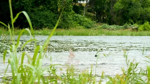 Austin Riverside 19 Stock Footage 89689012