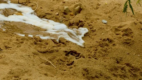 Austin Riverside 2 Stock Footage 89689223