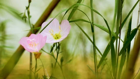 Austin Riverside 3 Stock Footage 89689207