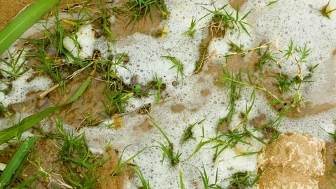 Austin Riverside 4 Stock Footage 89689203