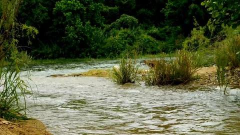 Austin Riverside 5 Stock Footage 89689200