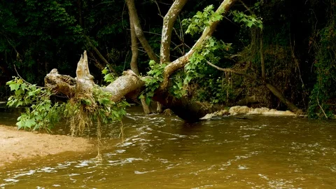 Austin Riverside 6 Stock Footage 89689191