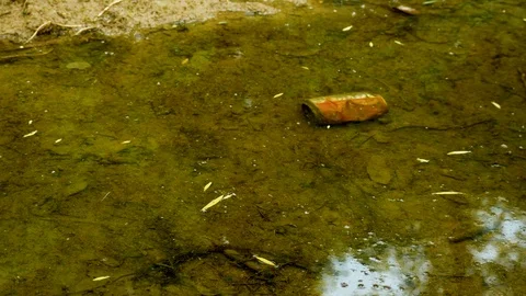 Austin Riverside 7 Stock Footage 89689184