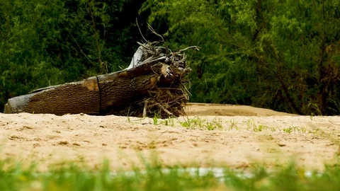 Austin Riverside 8 Stock Footage 89689178