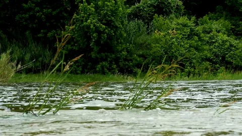 Austin Riverside 9 Stock Footage 89689110