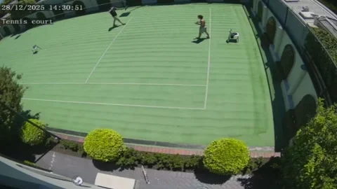 Australia: Backyard cricket bat mishap in Melbourne, Australia Stock Footage 326318255