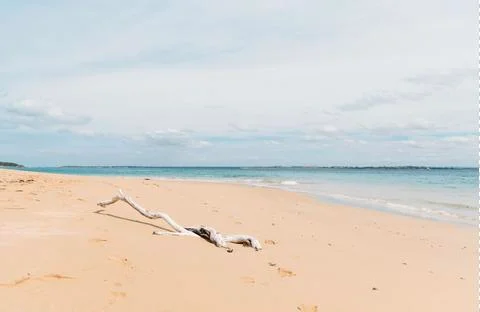 Australia beach Stock Photos