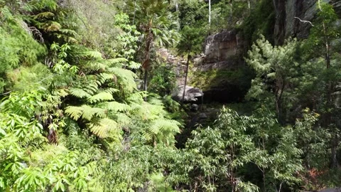 Australia drone footage Video stock 208355069