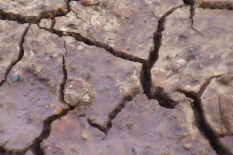 AUSTRALIA-DROUGHT 1 Stock Footage 569635