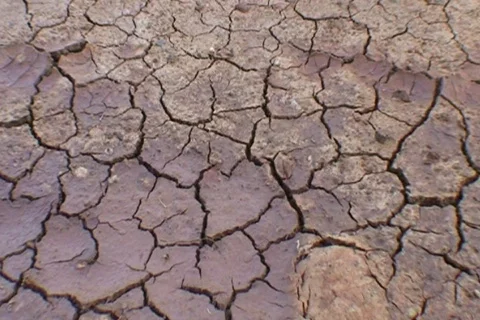 AUSTRALIA-DROUGHT 2 Stock Footage 569674
