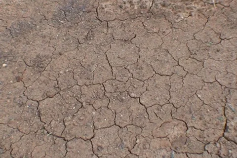 AUSTRALIA-DROUGHT 3 Stock Footage 569732