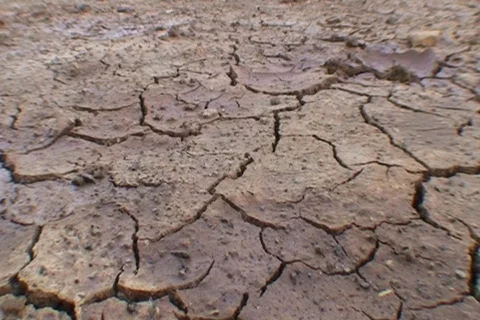 AUSTRALIA-DROUGHT 4 Vidéo 569778