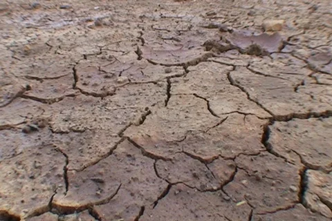 AUSTRALIA-DROUGHT 5 Stock Footage 569814