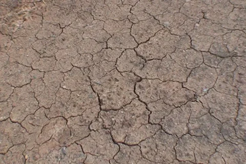 AUSTRALIA-DROUGHT 6 Stock Footage 569888