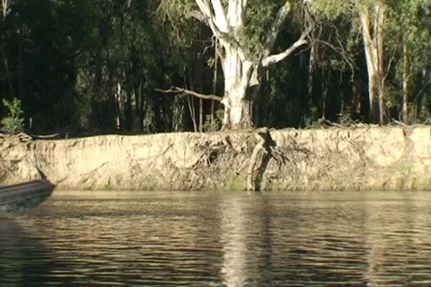 AUSTRALIA-EROSION-RIVER Stock-Footage 577167