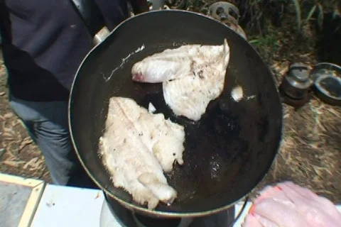 AUSTRALIA-FISH-COOK Stock Footage 578805