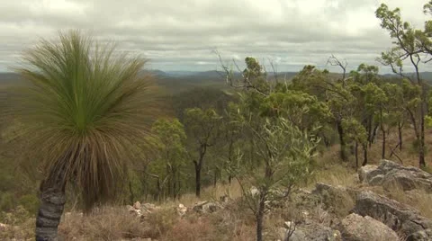 Australia Landscape View Stock Footage 12480509