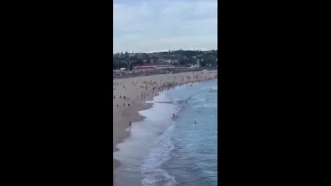 Australia: Mass panic as gunfire erupts in Bondi Beach, Sydney, Australia... Stock Footage 323862231