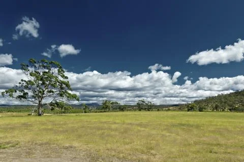 Australia meadow Stock Photos