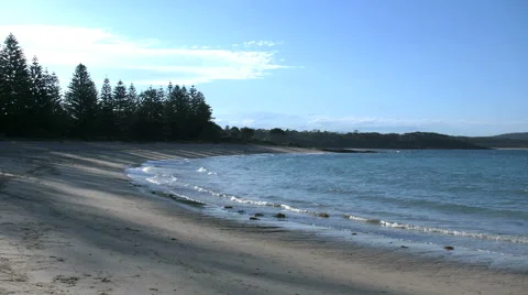 Australia Murramarang looking down beach Video stock 65717155