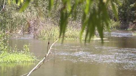 Australia Outback Stock Footage 36824815