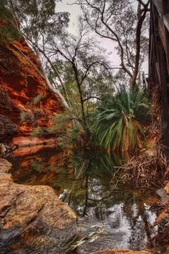 Australia Outback Stock Photos