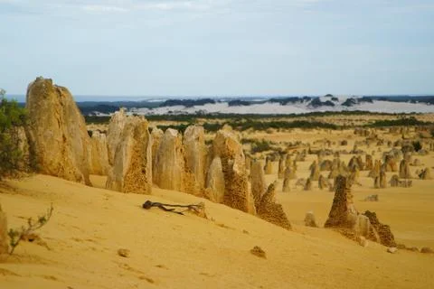 Australia Pinnacles desert Stock Photos