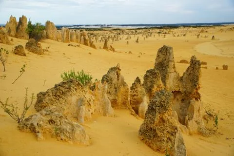 Australia Pinnacles desert Stock Photos