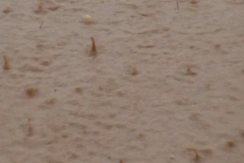 AUSTRALIA-RAIN 4 Stock-Footage 570157