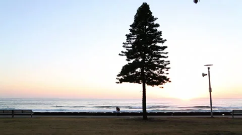 Australia Surfer Preparing Surfboard on Beach Stock Video 動画素材 34371062