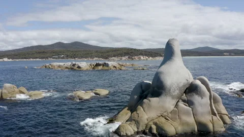 Australia Tasmania Sloop Reef Rock Formation Coastline Bush Ocean Stock Footage 235876196